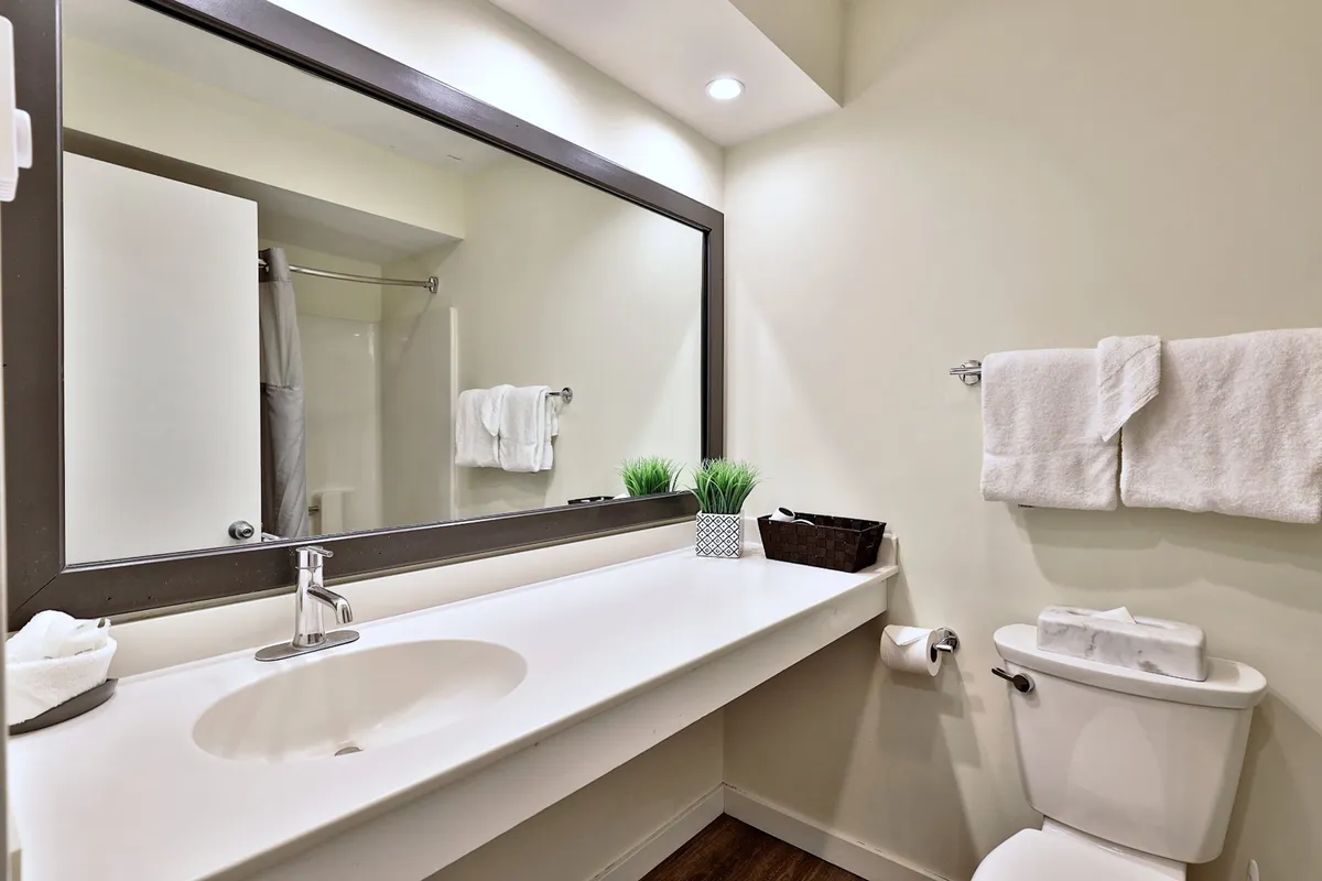 The scene captures a fresh, modern ensuite bathroom with a large mirror, sink, toilet, a decorative plant, and neatly arranged soft towels. The lighting is bright and welcoming, and the space looks clean and well-equipped for personal routines. Towels and toiletries are visible, emphasizing thoughtful amenities.
